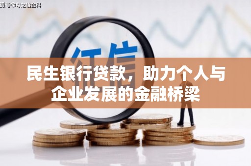 新蔡民生银行贷款，助力个人与企业发展的金融桥梁