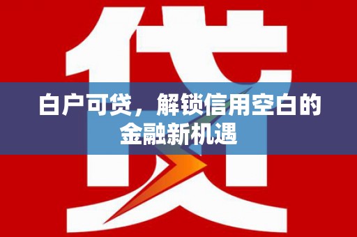 新蔡白户可贷，解锁信用空白的金融新机遇