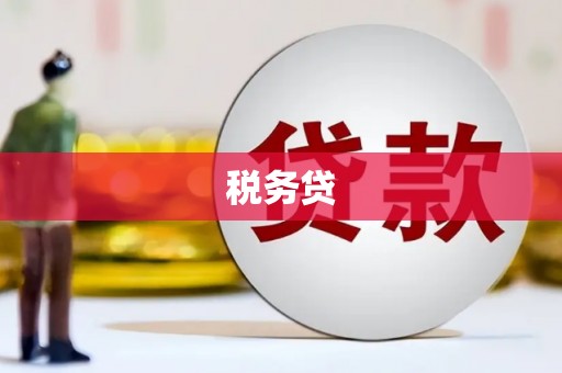 新蔡税务贷