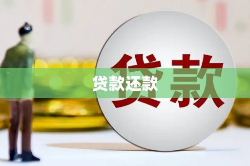 新蔡贷款还款