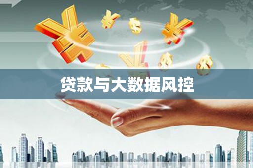 新蔡贷款与大数据风控
