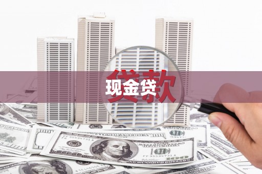 新蔡现金贷