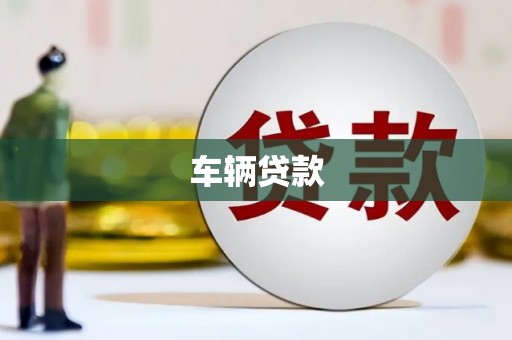 新蔡车辆贷款