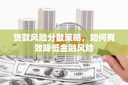 新蔡贷款风险分散策略，如何有效降低金融风险