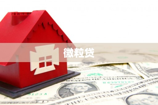 新蔡微粒贷