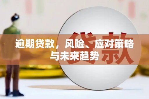 新蔡逾期贷款，风险、应对策略与未来趋势