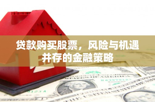 新蔡贷款购买股票，风险与机遇并存的金融策略