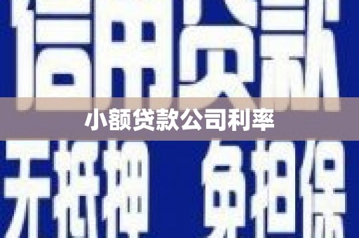 新蔡小额贷款公司利率