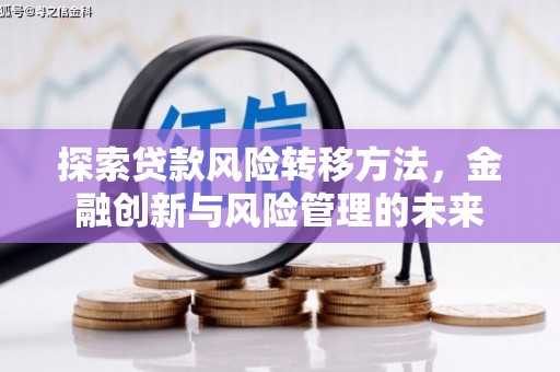 新蔡探索贷款风险转移方法，金融创新与风险管理的未来