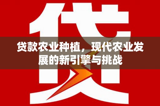 新蔡贷款农业种植，现代农业发展的新引擎与挑战