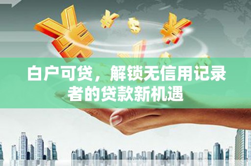 新蔡白户可贷，解锁无信用记录者的贷款新机遇