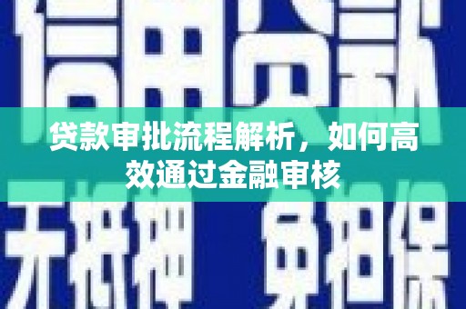 新蔡贷款审批流程解析，如何高效通过金融审核