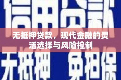 新蔡无抵押贷款，现代金融的灵活选择与风险控制