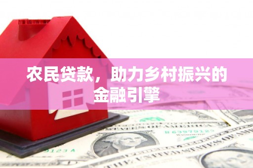 新蔡农民贷款，助力乡村振兴的金融引擎