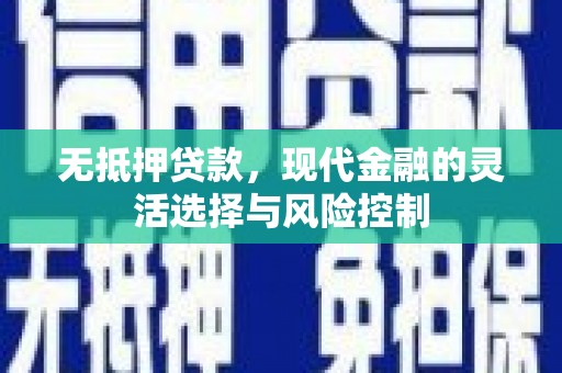 新蔡无抵押贷款，现代金融的灵活选择与风险控制