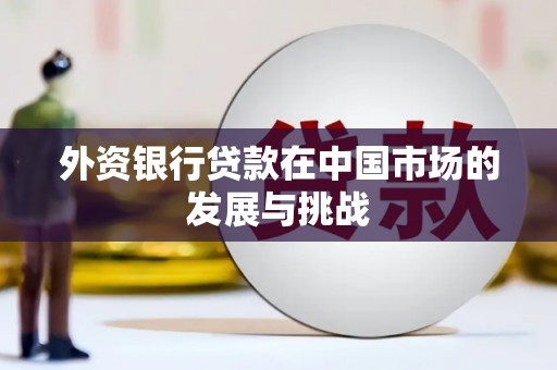 新蔡外资银行贷款在中国市场的发展与挑战