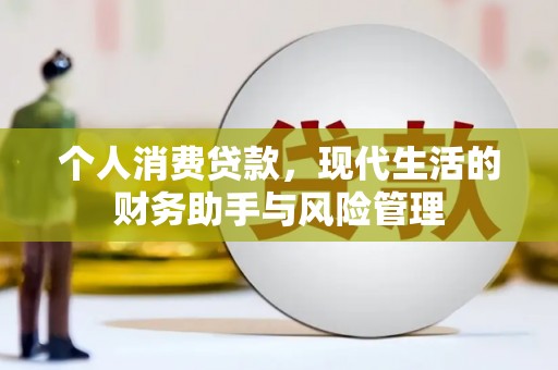新蔡个人消费贷款，现代生活的财务助手与风险管理