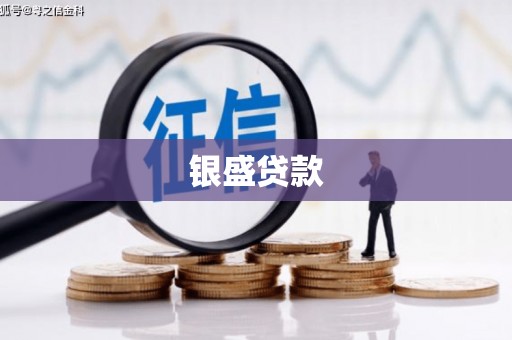 新蔡银盛贷款