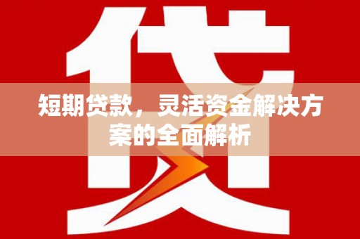 新蔡短期贷款，灵活资金解决方案的全面解析