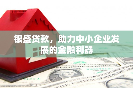新蔡银盛贷款，助力中小企业发展的金融利器