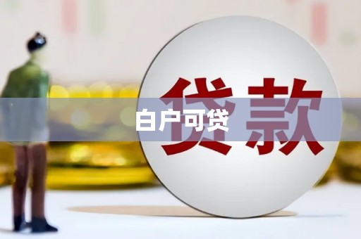 新蔡白户可贷