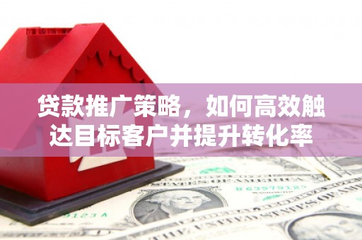 新蔡贷款推广策略，如何高效触达目标客户并提升转化率