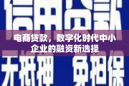 新蔡电商贷款，数字化时代中小企业的融资新选择
