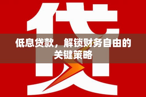 新蔡低息贷款，解锁财务自由的关键策略