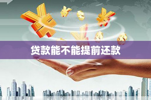 新蔡贷款能不能提前还款