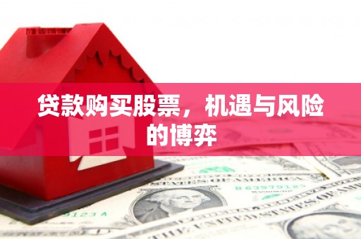 新蔡贷款购买股票，机遇与风险的博弈