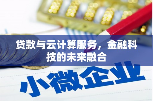 新蔡贷款与云计算服务，金融科技的未来融合