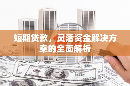 新蔡短期贷款，灵活资金解决方案的全面解析