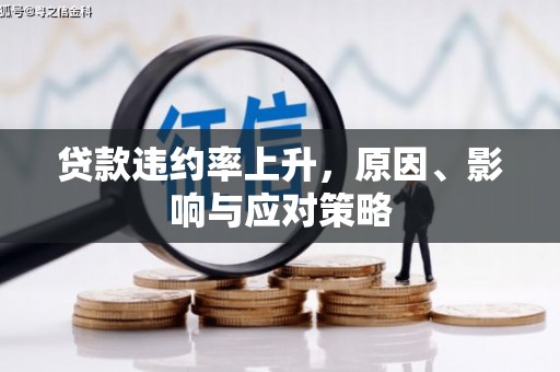 新蔡贷款违约率上升，原因、影响与应对策略