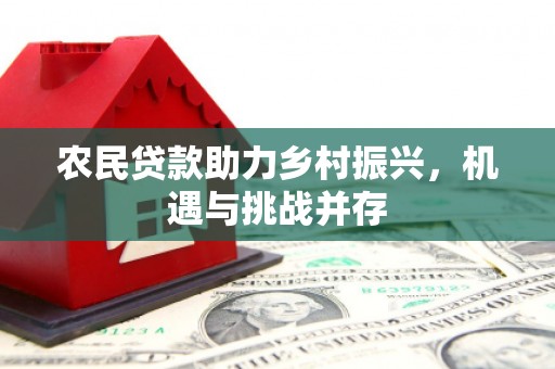 新蔡农民贷款助力乡村振兴，机遇与挑战并存
