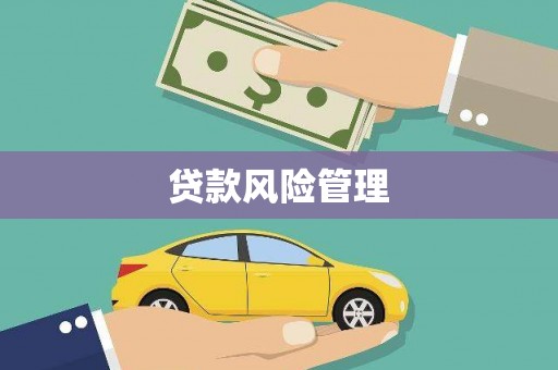 新蔡贷款风险管理