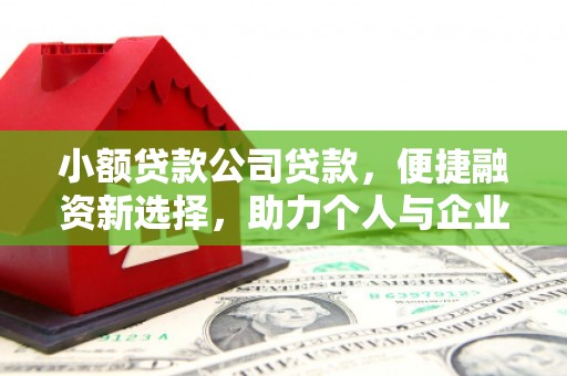 新蔡小额贷款公司贷款，便捷融资新选择，助力个人与企业成长