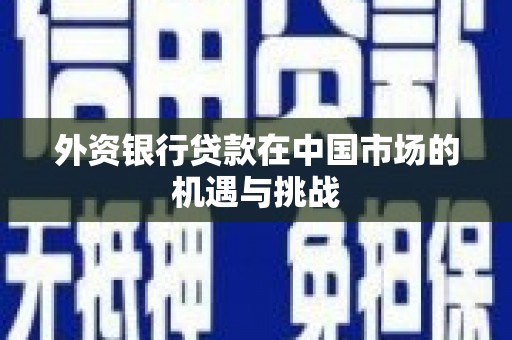 新蔡外资银行贷款在中国市场的机遇与挑战