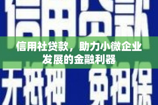 新蔡信用社贷款，助力小微企业发展的金融利器