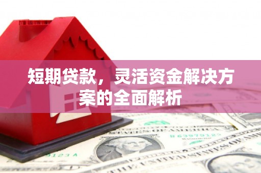 新蔡短期贷款，灵活资金解决方案的全面解析