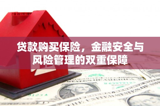 新蔡贷款购买保险，金融安全与风险管理的双重保障