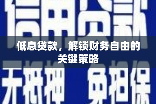 新蔡低息贷款，解锁财务自由的关键策略