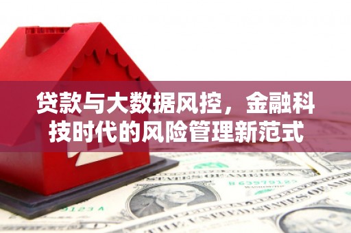 新蔡贷款与大数据风控，金融科技时代的风险管理新范式