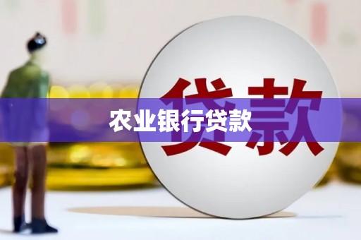 新蔡农业银行贷款