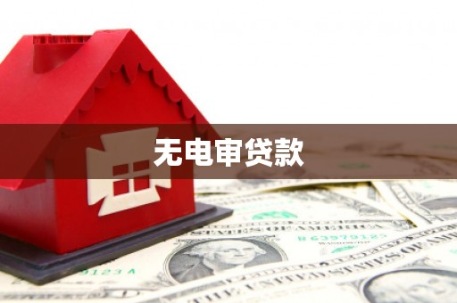 新蔡无电审贷款