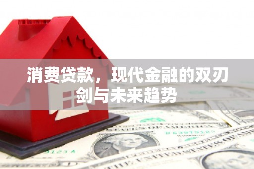 新蔡消费贷款，现代金融的双刃剑与未来趋势