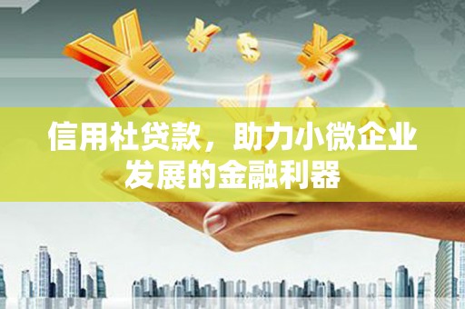 新蔡信用社贷款，助力小微企业发展的金融利器