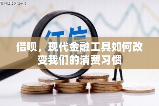 新蔡借呗，现代金融工具如何改变我们的消费习惯