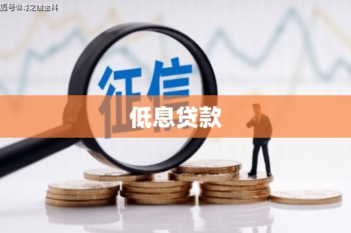 新蔡低息贷款