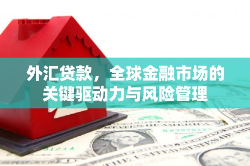 新蔡外汇贷款，全球金融市场的关键驱动力与风险管理