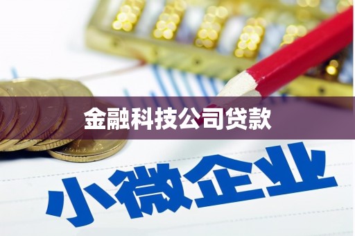新蔡金融科技公司贷款